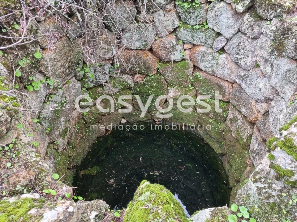 Terreno Agricola ou Rústico para Venda em Monsanto e Idanha-A-Velha Foto 32