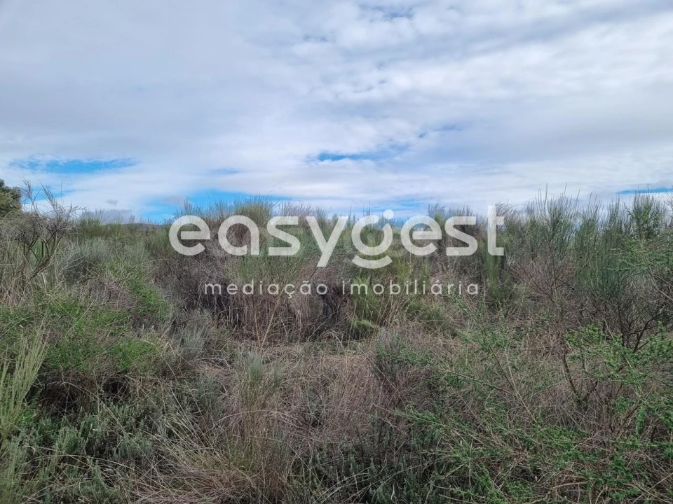 Terreno Agricola ou Rústico para Venda em Monsanto e Idanha-A-Velha Foto 35