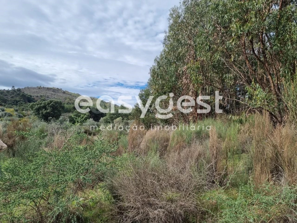 Terreno Agricola ou Rústico para Venda em Monsanto e Idanha-A-Velha Foto 39