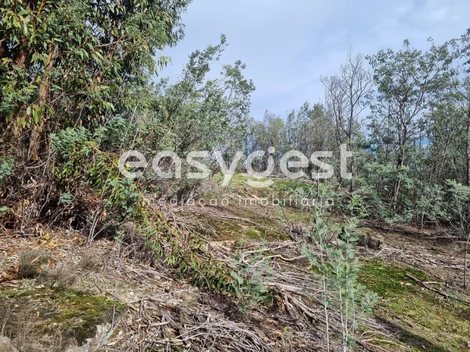 Terreno Agricola ou Rústico para Venda em Monsanto e Idanha-A-Velha Foto 40