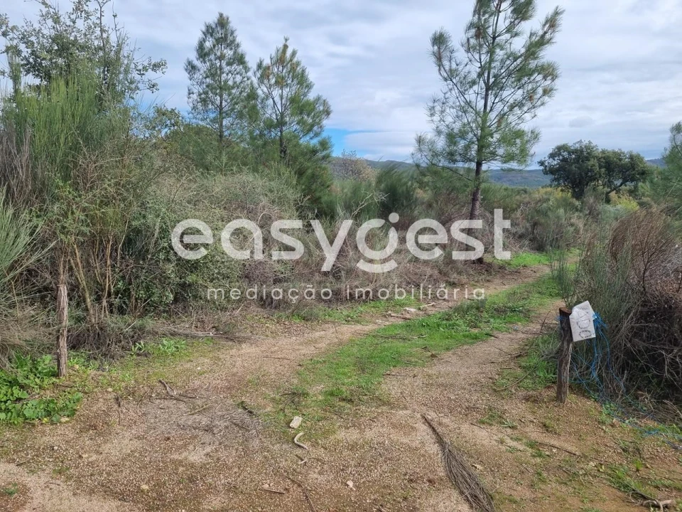 Terreno Agricola ou Rústico para Venda em Monsanto e Idanha-A-Velha Foto 44