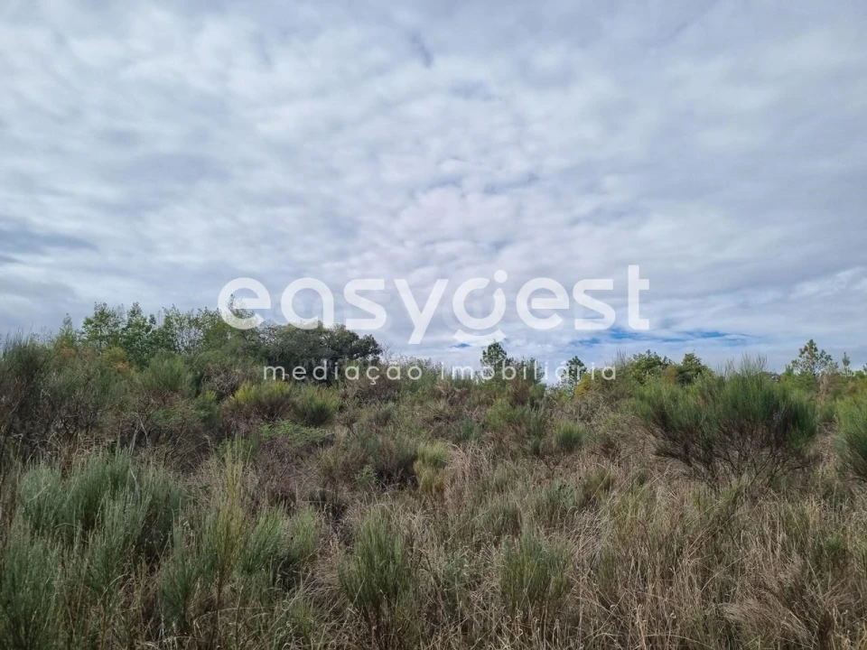 Terreno Agricola ou Rústico para Venda em Monsanto e Idanha-A-Velha Foto 45