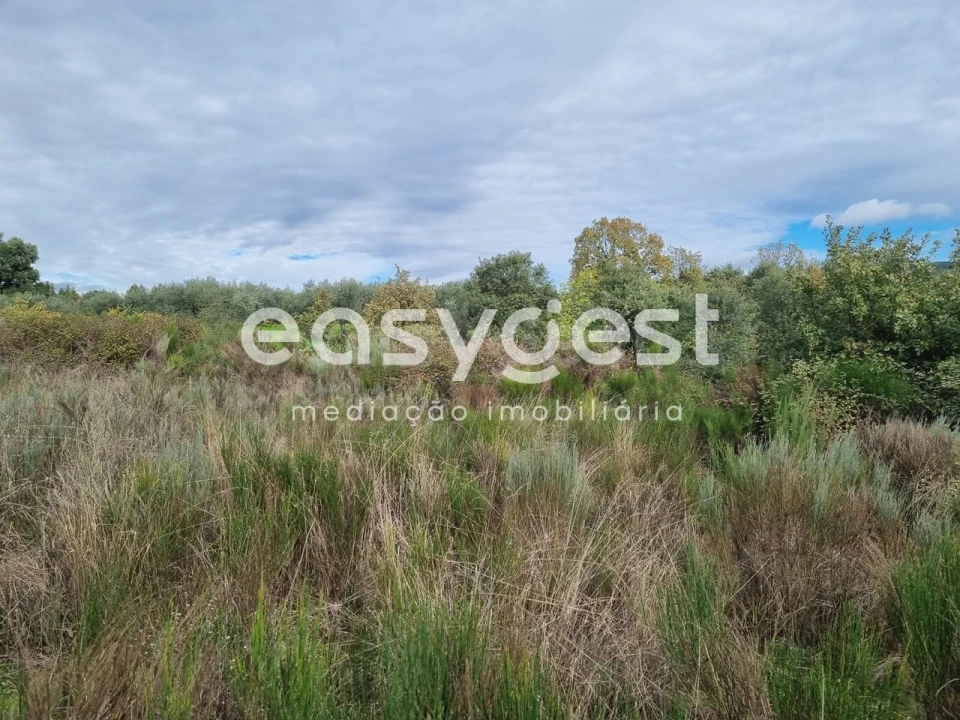 Terreno Agricola ou Rústico para Venda em Monsanto e Idanha-A-Velha Foto 46