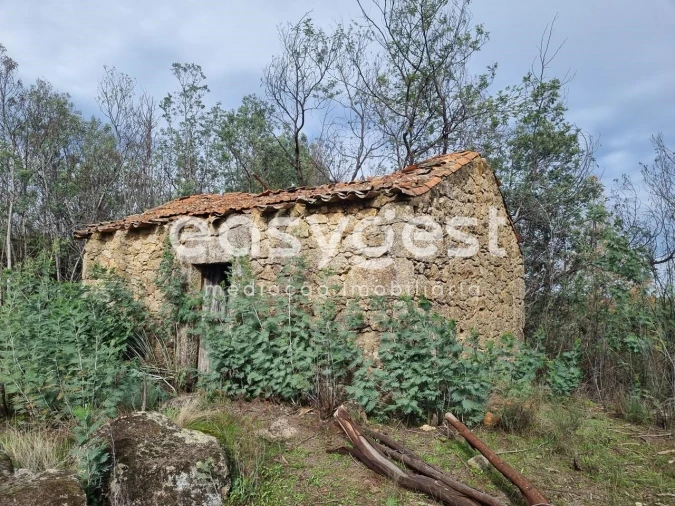 Terreno Agricola ou Rústico para Venda em Monsanto e Idanha-A-Velha Foto 1