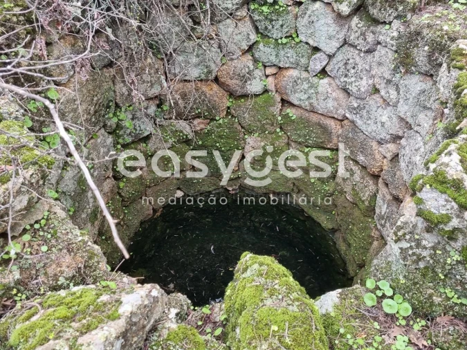 Terreno Agricola ou Rústico para Venda em Monsanto e Idanha-A-Velha Foto 4