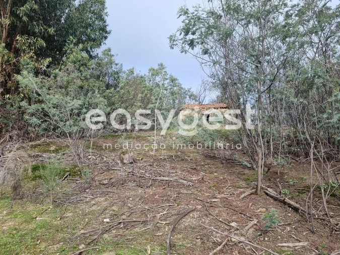 Terreno Agricola ou Rústico para Venda em Monsanto e Idanha-A-Velha Foto 5