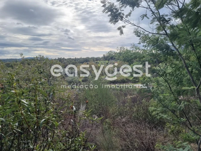 Terreno Agricola ou Rústico para Venda em Monsanto e Idanha-A-Velha Foto 12