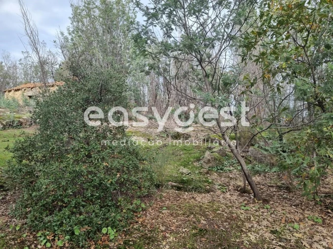 Terreno Agricola ou Rústico para Venda em Monsanto e Idanha-A-Velha Foto 13