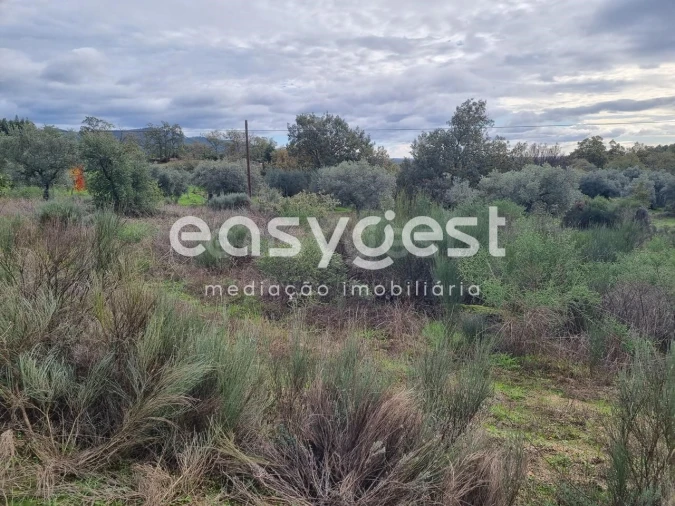 Terreno Agricola ou Rústico para Venda em Monsanto e Idanha-A-Velha Foto 17