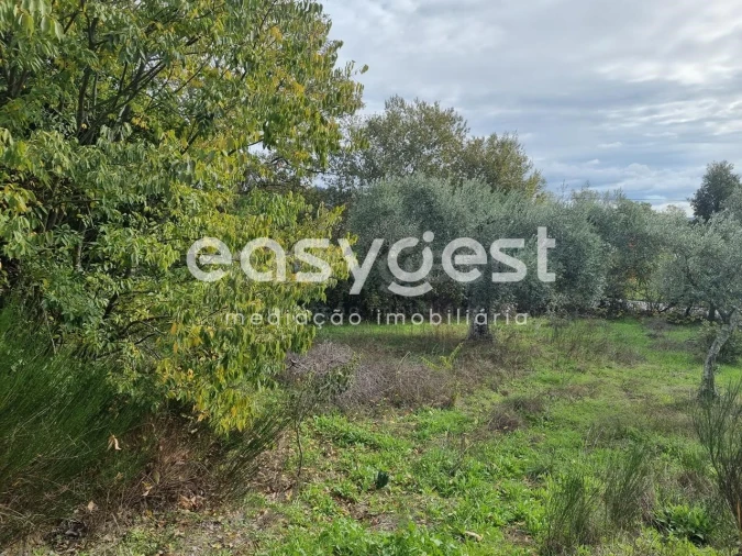 Terreno Agricola ou Rústico para Venda em Monsanto e Idanha-A-Velha Foto 18
