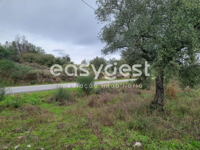 Terreno Agricola ou Rústico para Venda em Monsanto e Idanha-A-Velha Foto 19