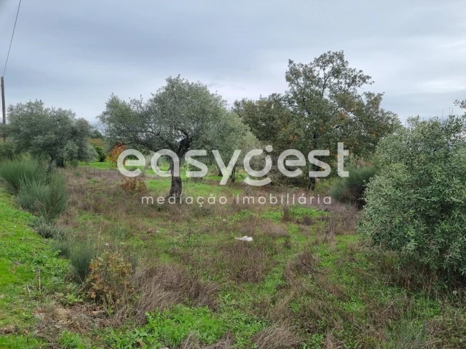 Terreno Agricola ou Rústico para Venda em Monsanto e Idanha-A-Velha Foto 20
