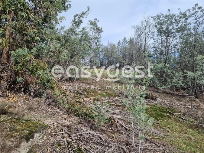 Terreno Agricola ou Rústico para Venda em Monsanto e Idanha-A-Velha Foto 22