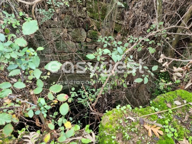 Terreno Agricola ou Rústico para Venda em Monsanto e Idanha-A-Velha Foto 33
