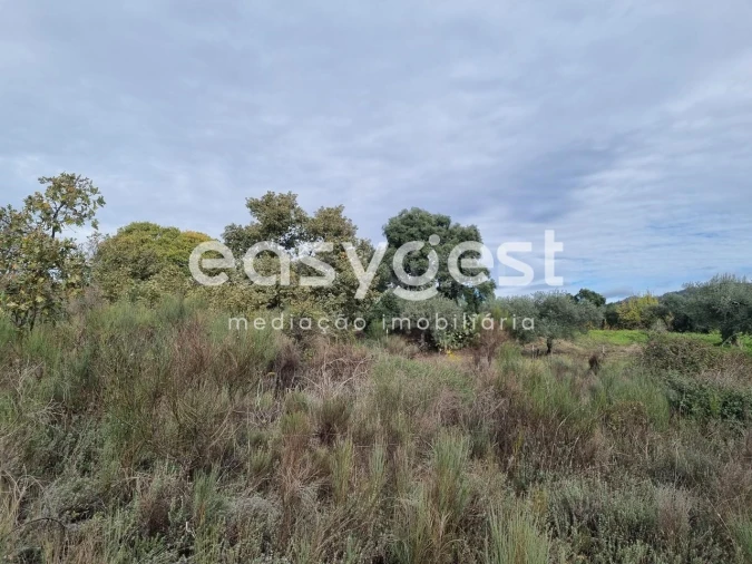 Terreno Agricola ou Rústico para Venda em Monsanto e Idanha-A-Velha Foto 34