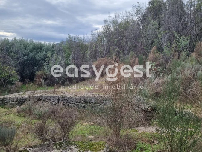 Terreno Agricola ou Rústico para Venda em Monsanto e Idanha-A-Velha Foto 36