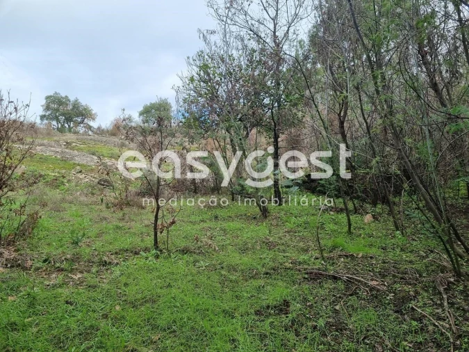 Terreno Agricola ou Rústico para Venda em Monsanto e Idanha-A-Velha Foto 37
