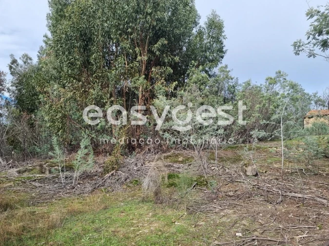 Terreno Agricola ou Rústico para Venda em Monsanto e Idanha-A-Velha Foto 42