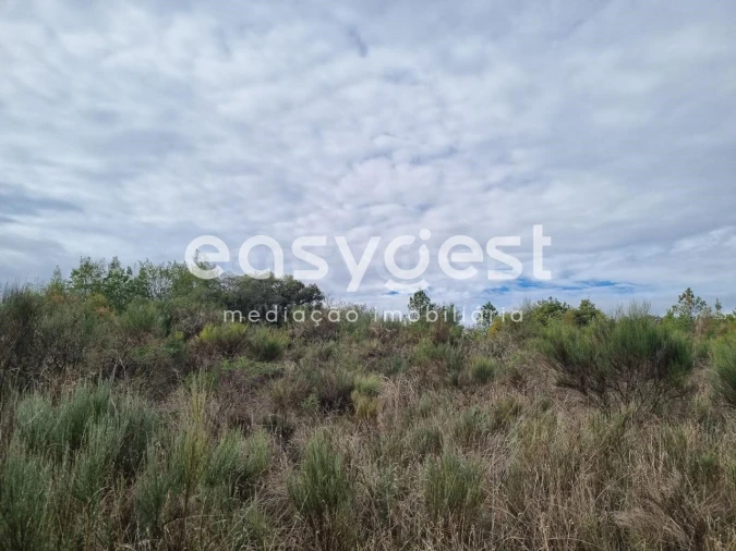 Terreno Agricola ou Rústico para Venda em Monsanto e Idanha-A-Velha Foto 45