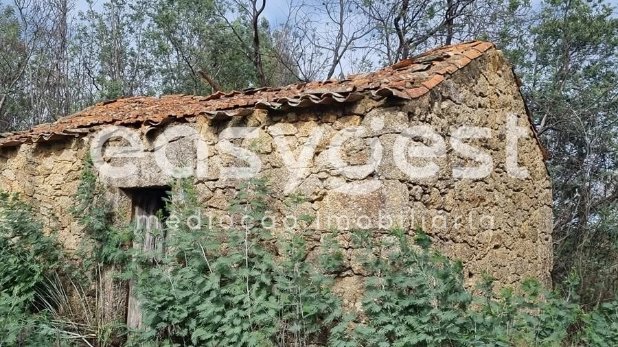 Terreno Agricola ou Rústico para Venda em Monsanto e Idanha-A-Velha