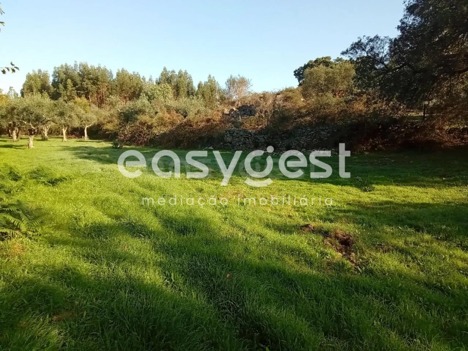 Terreno Agricola ou Rústico para Venda em Póvoa de Rio de Moinhos e Cafede Foto 3