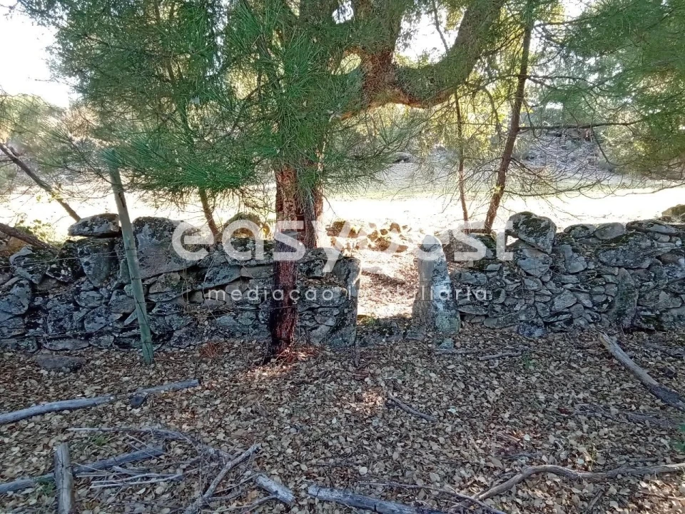 Terreno Agricola ou Rústico para Venda em Póvoa de Rio de Moinhos e Cafede Foto 10