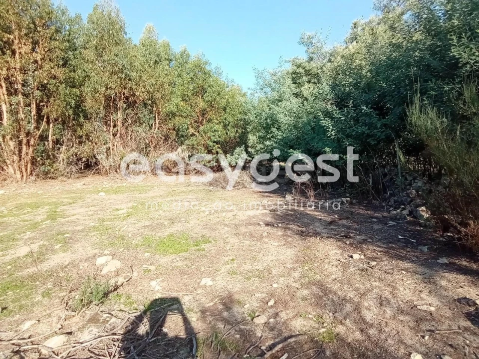 Terreno Agricola ou Rústico para Venda em Póvoa de Rio de Moinhos e Cafede Foto 11