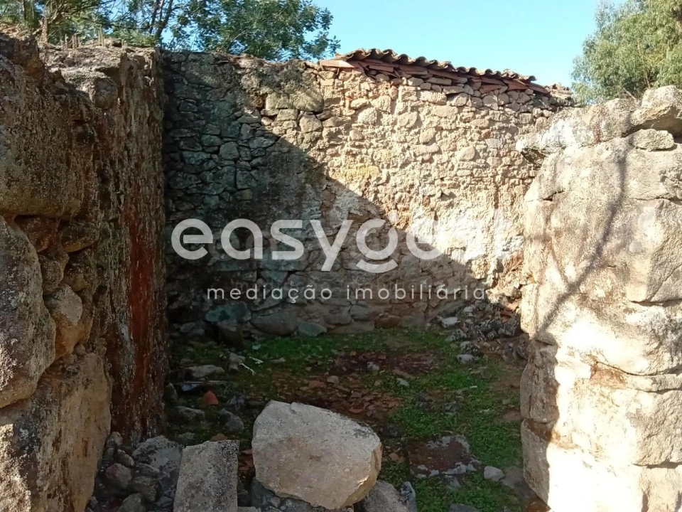 Terreno Agricola ou Rústico para Venda em Póvoa de Rio de Moinhos e Cafede Foto 14