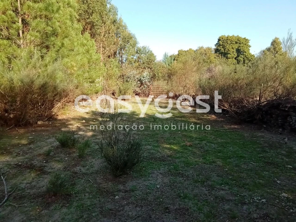 Terreno Agricola ou Rústico para Venda em Póvoa de Rio de Moinhos e Cafede Foto 28