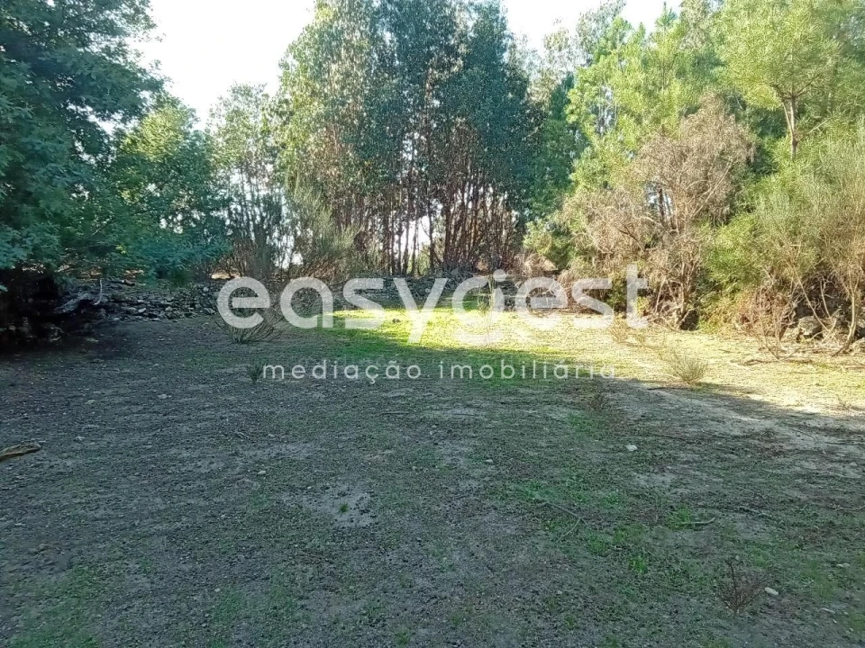 Terreno Agricola ou Rústico para Venda em Póvoa de Rio de Moinhos e Cafede Foto 29