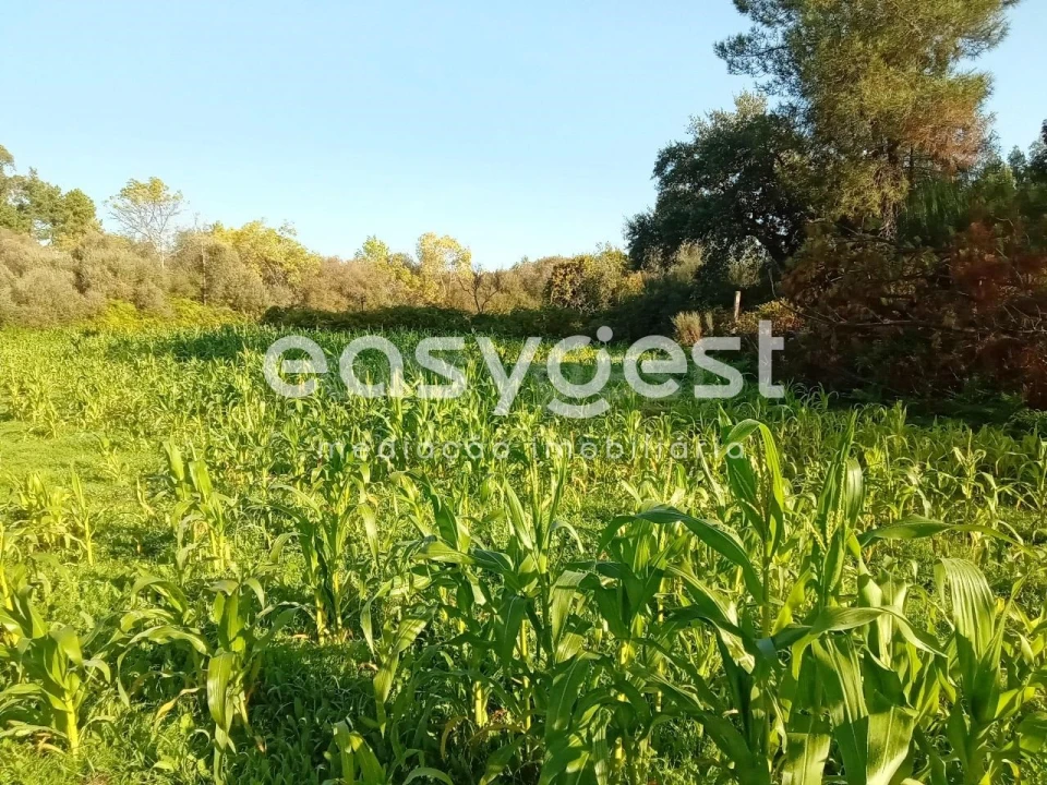 Terreno Agricola ou Rústico para Venda em Póvoa de Rio de Moinhos e Cafede Foto 40