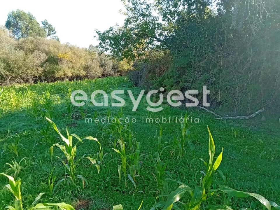 Terreno Agricola ou Rústico para Venda em Póvoa de Rio de Moinhos e Cafede Foto 43