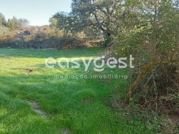Terreno Agricola ou Rústico para Venda em Póvoa de Rio de Moinhos e Cafede