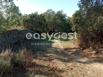 Terreno Agricola ou Rústico para Venda em Póvoa de Rio de Moinhos e Cafede