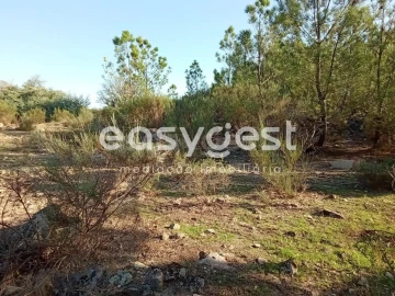 Terreno Agricola ou Rústico para Venda em Póvoa de Rio de Moinhos e Cafede