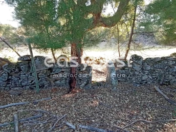 Terreno Agricola ou Rústico para Venda em Póvoa de Rio de Moinhos e Cafede