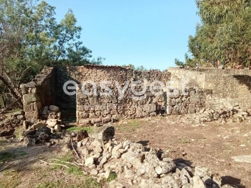 Terreno Agricola ou Rústico para Venda em Póvoa de Rio de Moinhos e Cafede