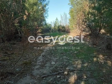 Terreno Agricola ou Rústico para Venda em Póvoa de Rio de Moinhos e Cafede