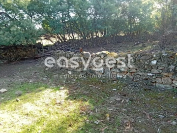 Terreno Agricola ou Rústico para Venda em Póvoa de Rio de Moinhos e Cafede