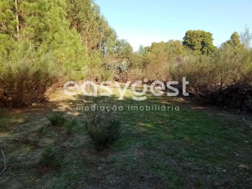 Terreno Agricola ou Rústico para Venda em Póvoa de Rio de Moinhos e Cafede