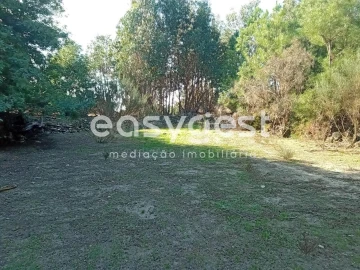 Terreno Agricola ou Rústico para Venda em Póvoa de Rio de Moinhos e Cafede