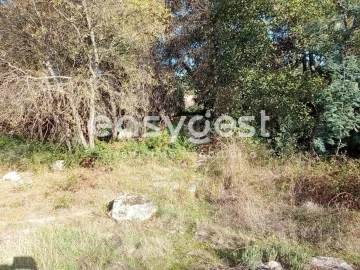 Terreno Agricola ou Rústico para Venda em Póvoa de Rio de Moinhos e Cafede