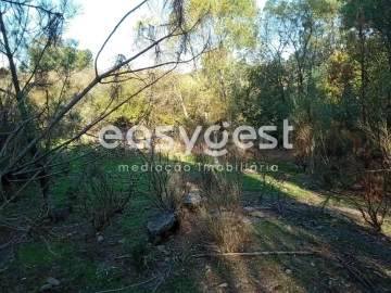 Terreno Agricola ou Rústico para Venda em Póvoa de Rio de Moinhos e Cafede