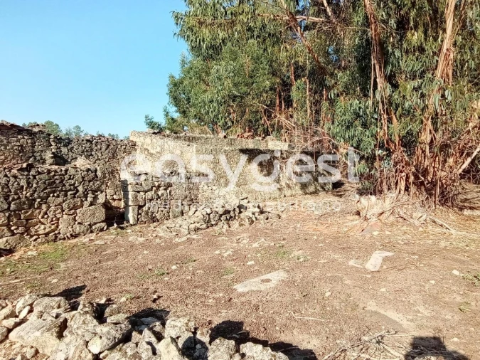 Terreno Agricola ou Rústico para Venda em Póvoa de Rio de Moinhos e Cafede Foto 13