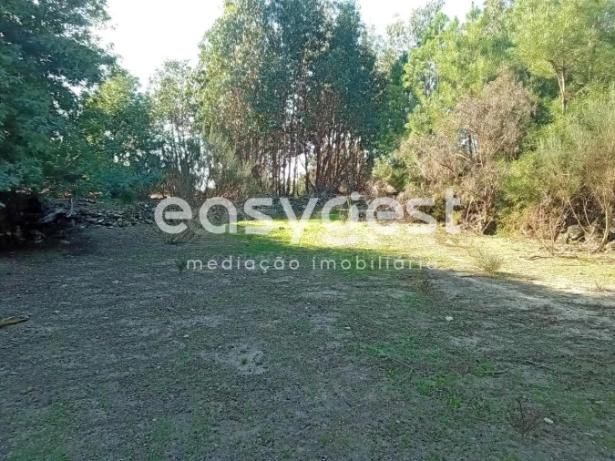 Terreno Agricola ou Rústico para Venda em Póvoa de Rio de Moinhos e Cafede Foto 29