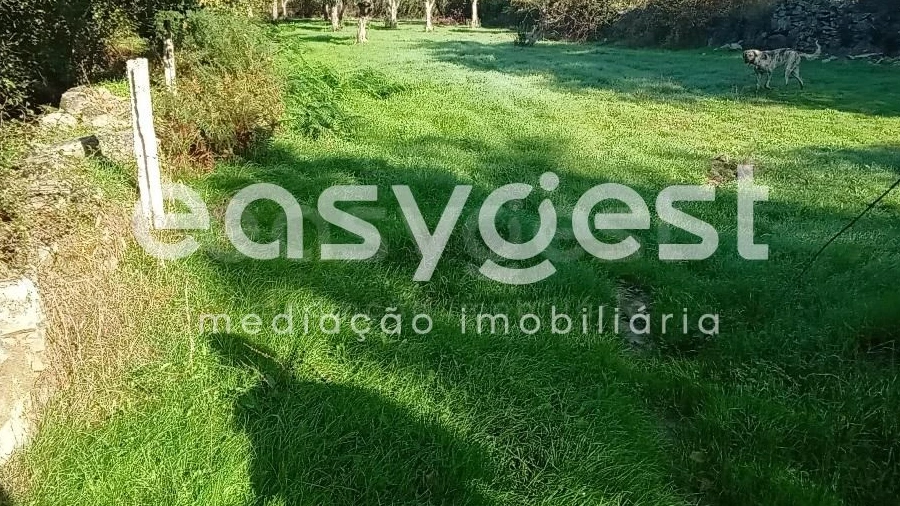 Terreno Agricola ou Rústico para Venda em Póvoa de Rio de Moinhos e Cafede