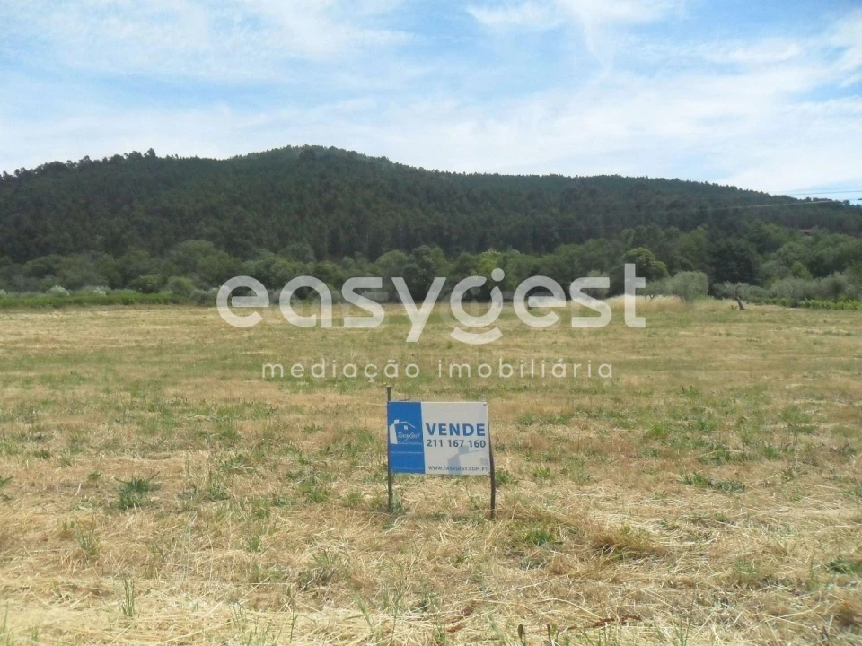 Terreno Agricola ou Rústico para Venda em Paul Foto 1