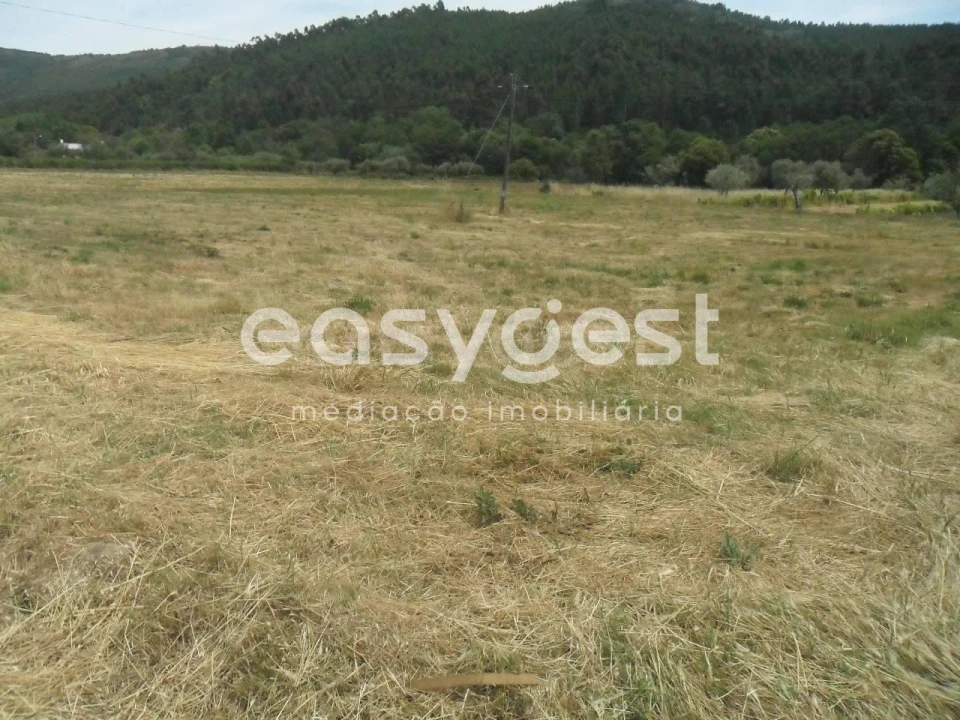 Terreno Agricola ou Rústico para Venda em Paul Foto 2