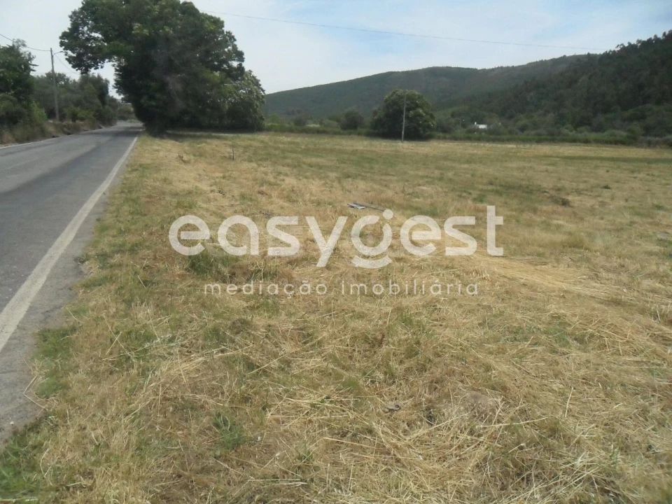 Terreno Agricola ou Rústico para Venda em Paul Foto 3