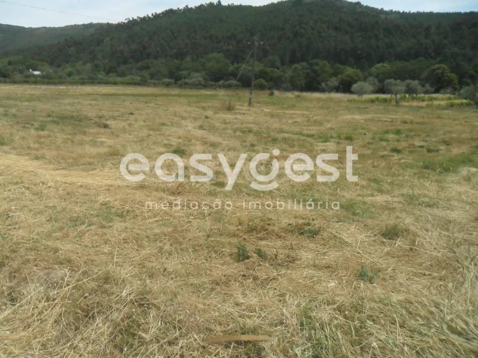Terreno Agricola ou Rústico para Venda em Paul Foto 2